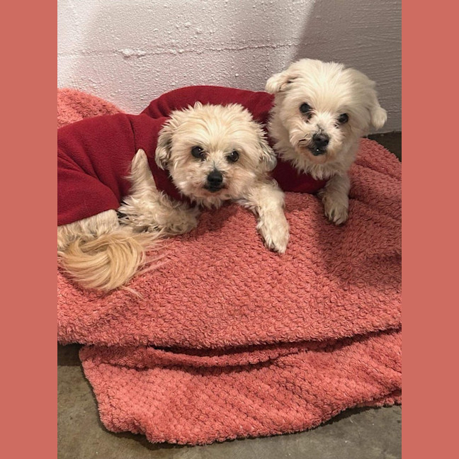 Photo of Bianca / Stella