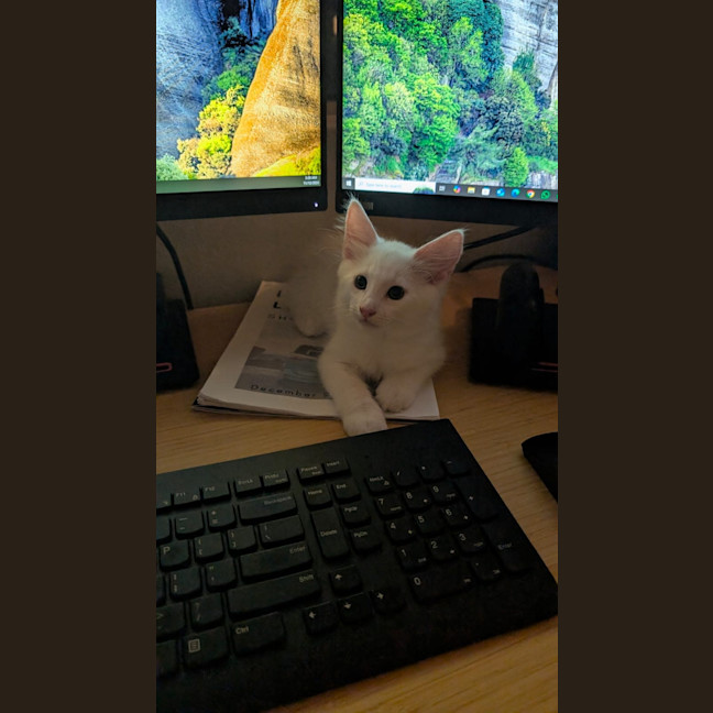 Photo of Sora
