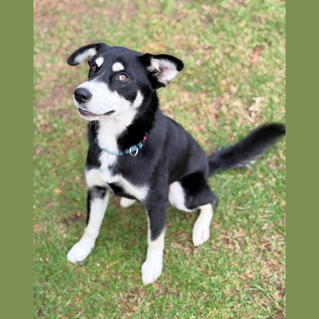 Photo of Yindi 