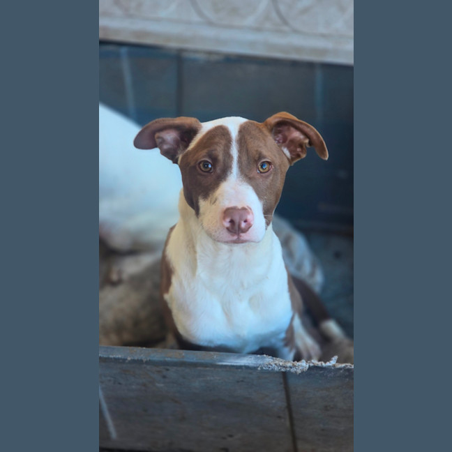 Photo of Twist