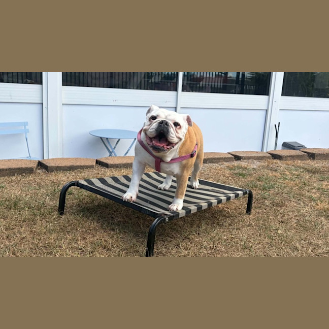Photo of Betty