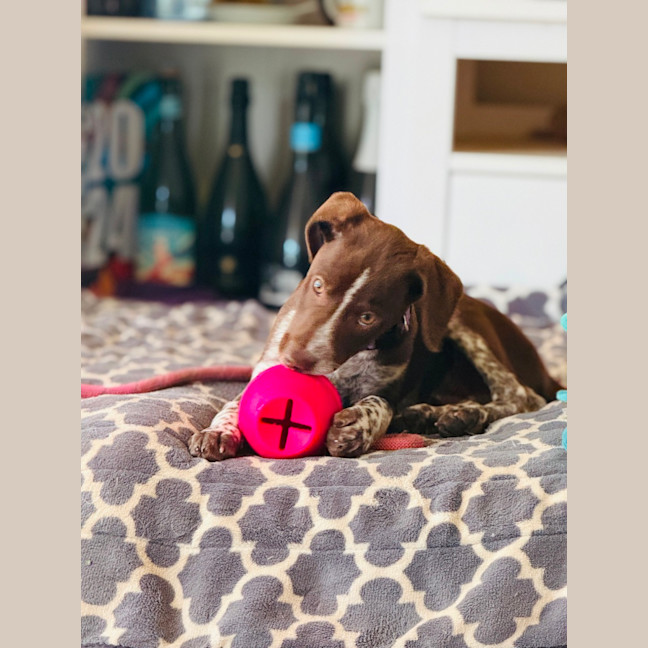 Photo of Buddy