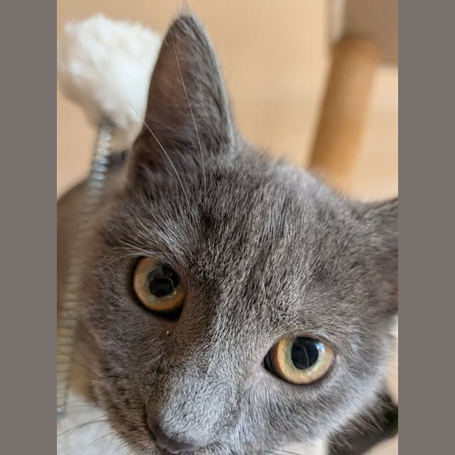 Photo of Greta