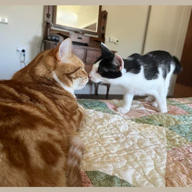 Photo of Acorn & Macadamia 