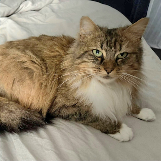Photo of Daisy