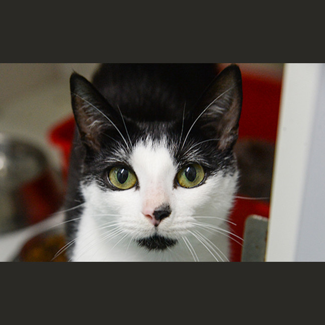 Photo of Matilda