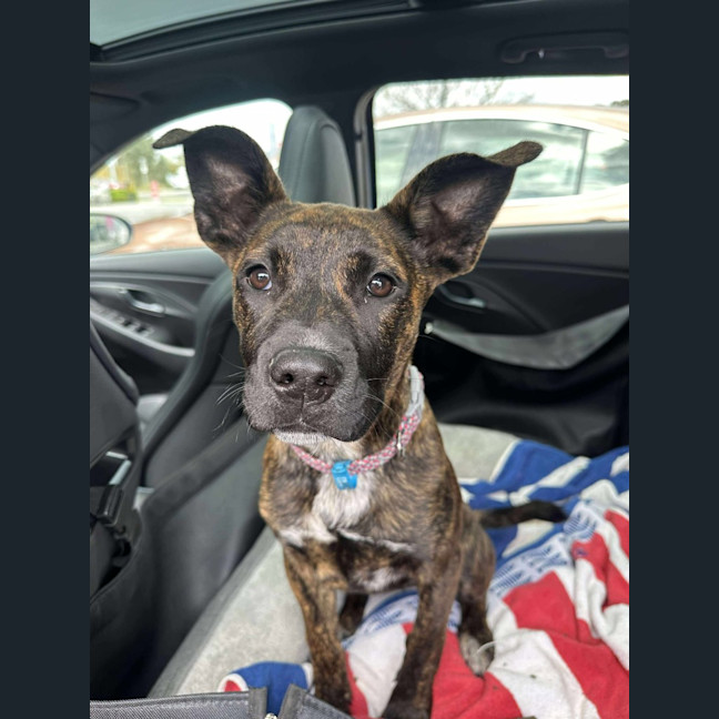 Photo of Lola