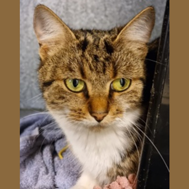 Photo of Mildred