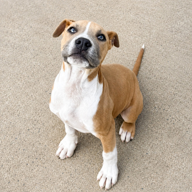 Photo of Finny