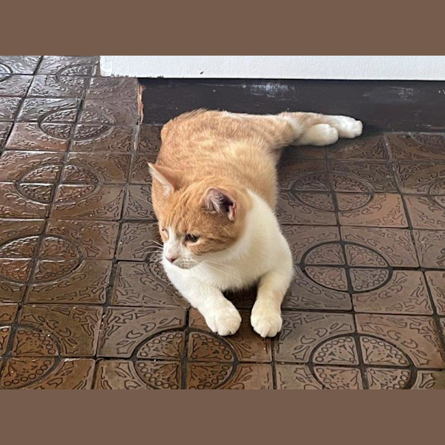 Photo of Olivia O'cleary