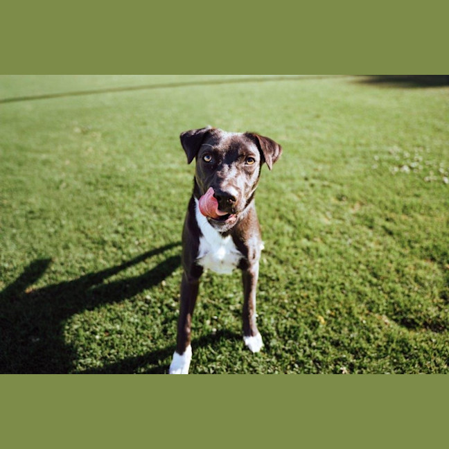 Photo of Toby Kumara