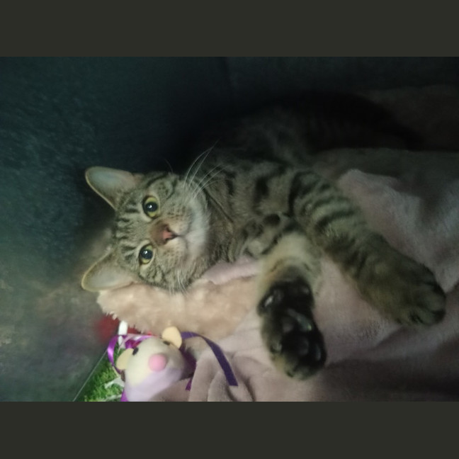 Photo of Tabitha
