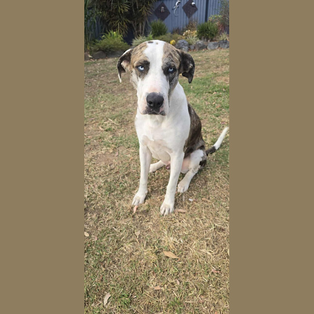 Photo of Thor