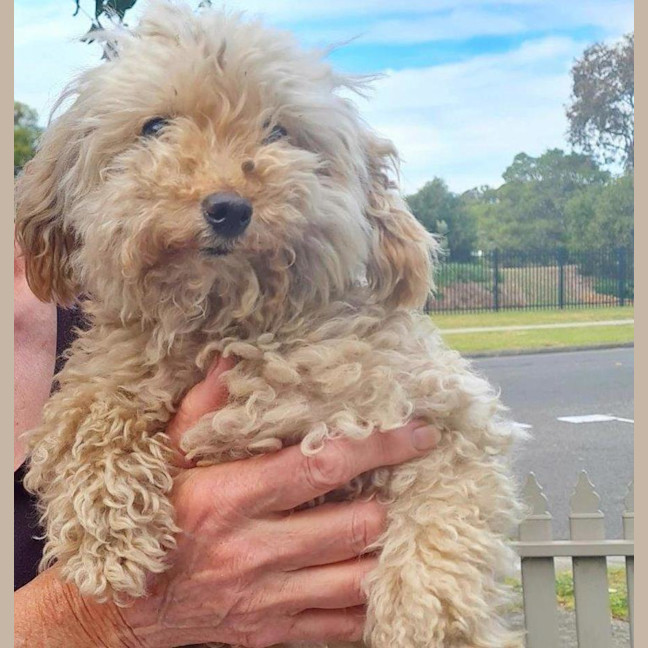 Photo of Angie And Naki Lozano