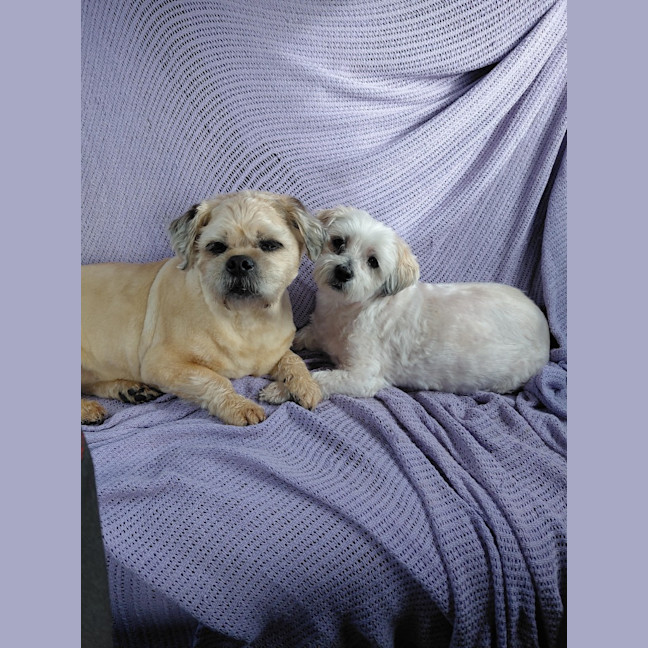 Photo of Charlie And Snooka
