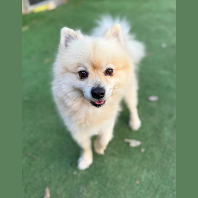 Photo of Spike