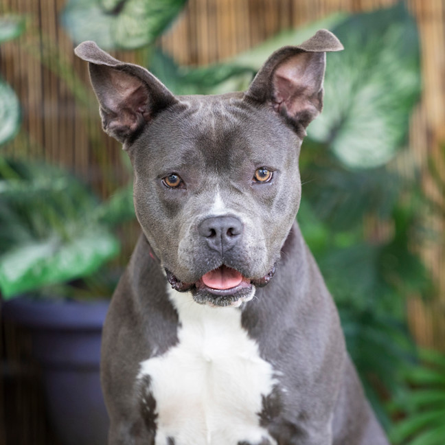Photo of Bonnie