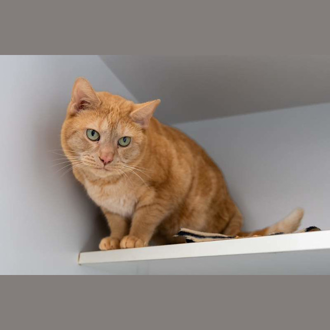 Photo of Narmi