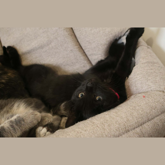 Photo of Wednesday