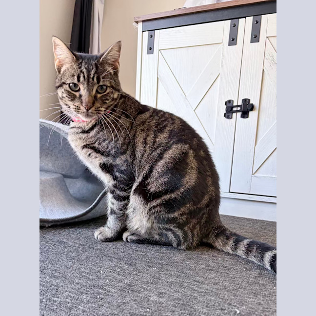Photo of Charlie