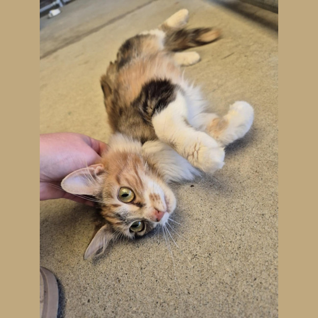 Photo of Maree! 🎀