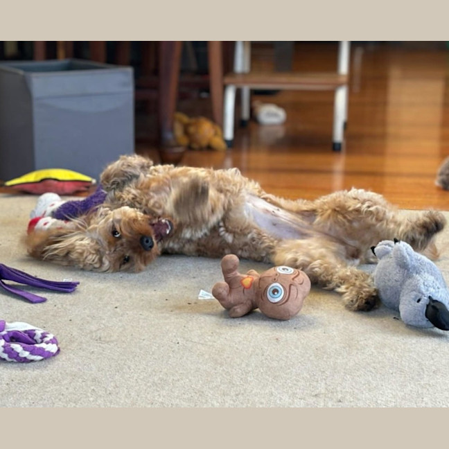 Photo of Jazz