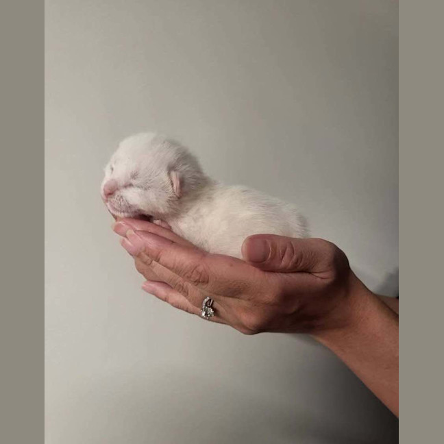 Photo of Cloud