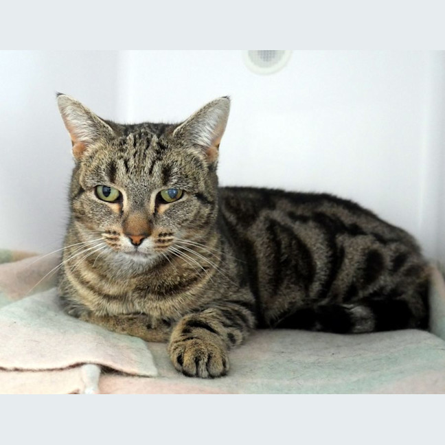 Photo of Eden Sta012533