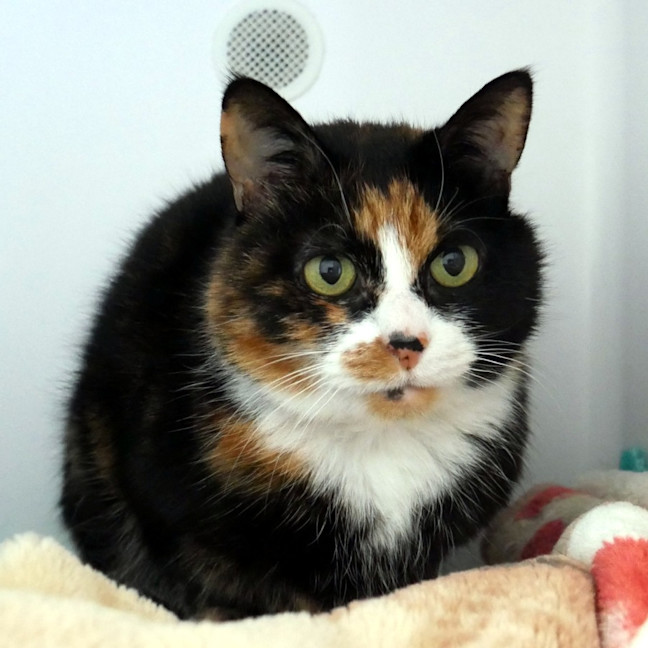 Photo of Victoria Sta013946