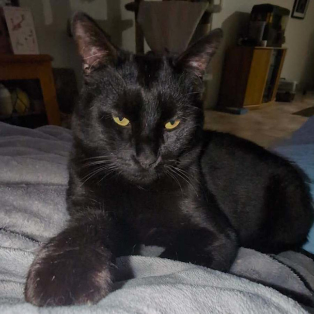 Photo of 13352   Vlad