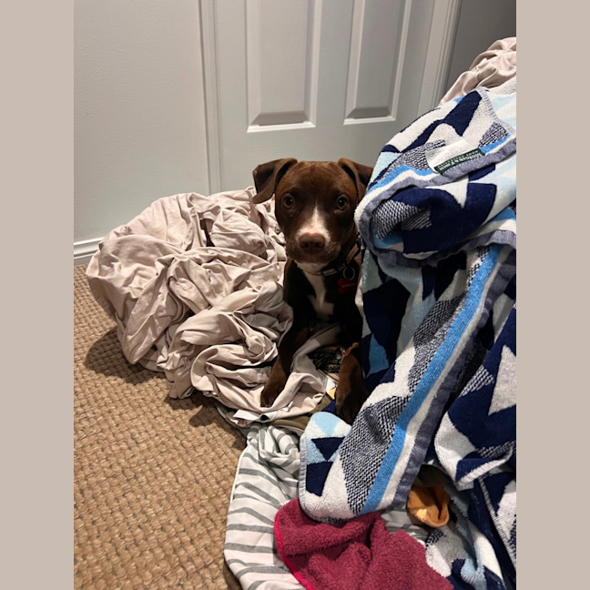 Photo of Peggy