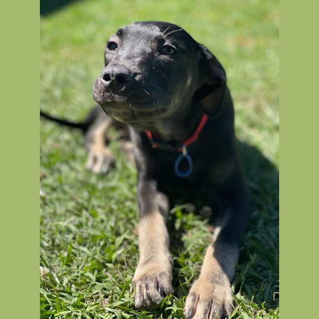 Photo of Zeus