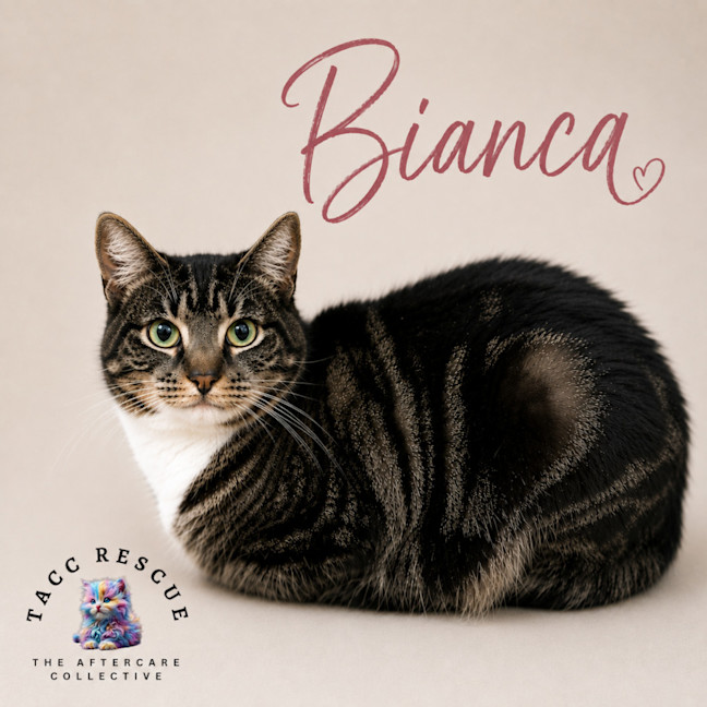 Photo of Bianca
