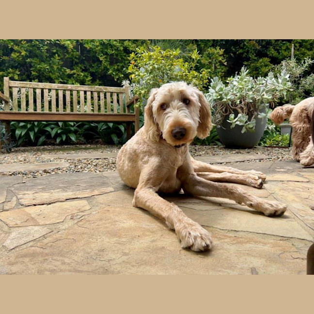 Photo of Marshall Uffelman