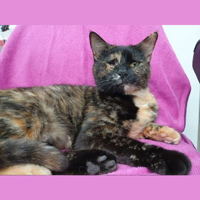 Photo of Leela