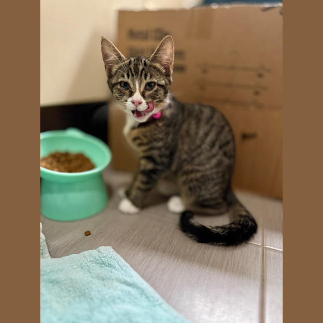 Photo of Tay Tay & Britney 