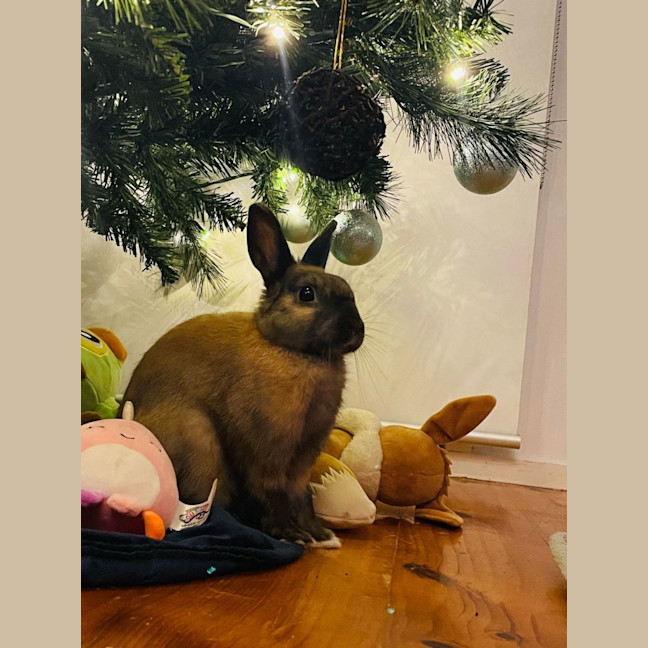 Photo of Betty Ciela