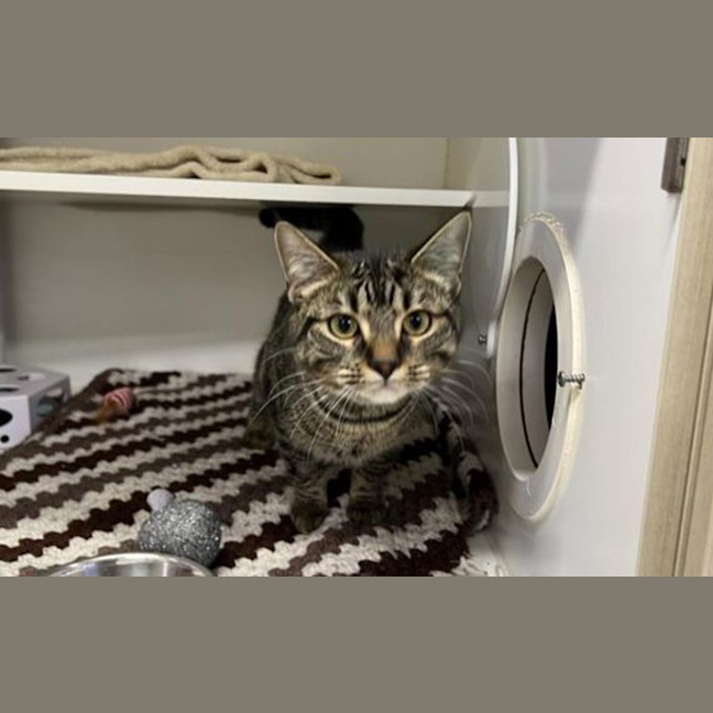 Photo of Junebug