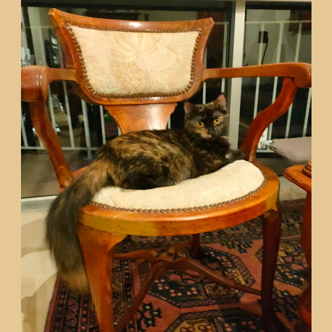 Photo of Calypso