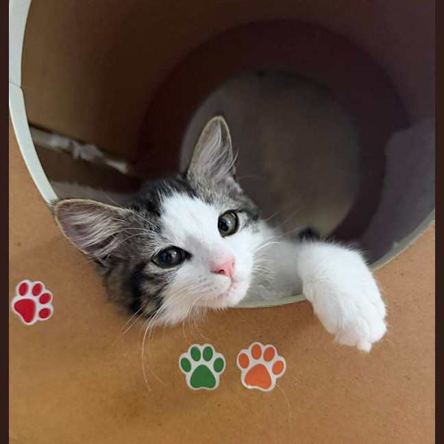 Photo of 🧚Elfina🧚‍♂️