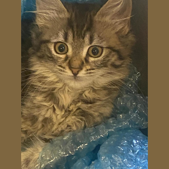 Photo of Princess