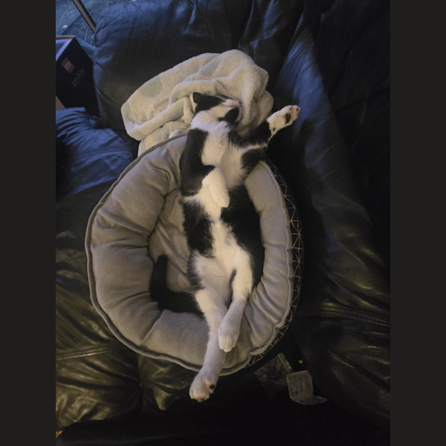 Photo of Jack