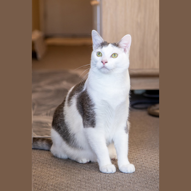 Photo of Clyde