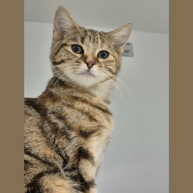Photo of Tinky