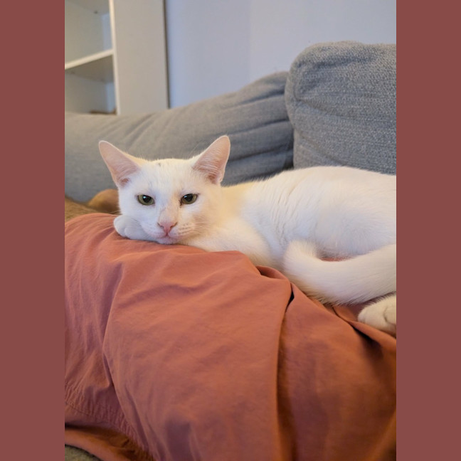 Photo of Cloud