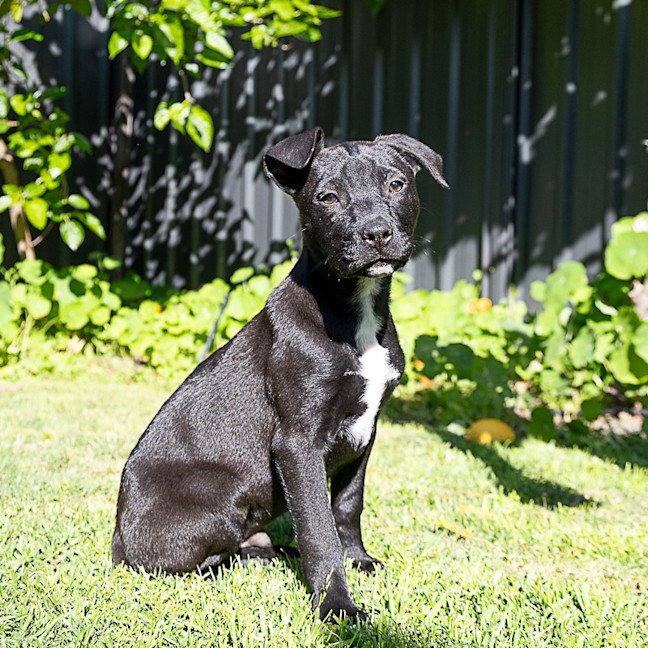 Photo of Lumen