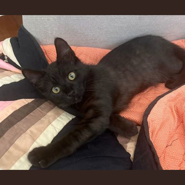 Photo of Sora