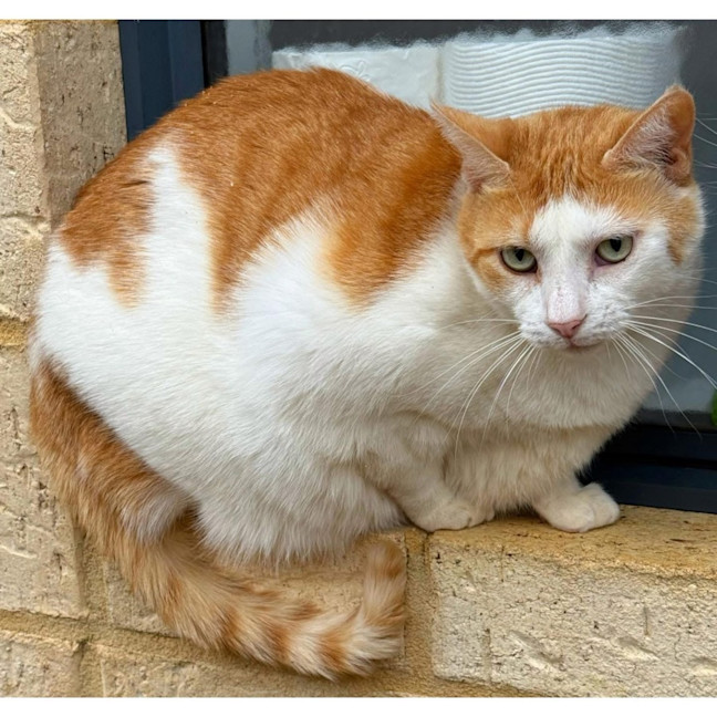 Photo of 5945   Rylee