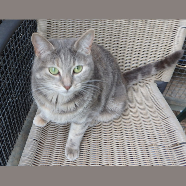 Photo of Fleur And Sky