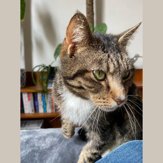 Photo of Marcie